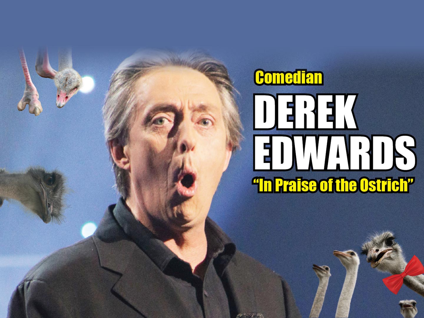 DEREK EDWARDS - 'In Praise of the Ostrich'
